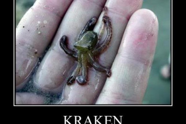 Http kraken