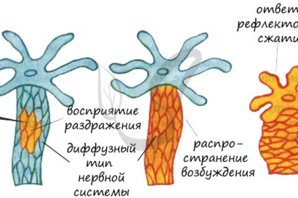 Кракен тор ссылка