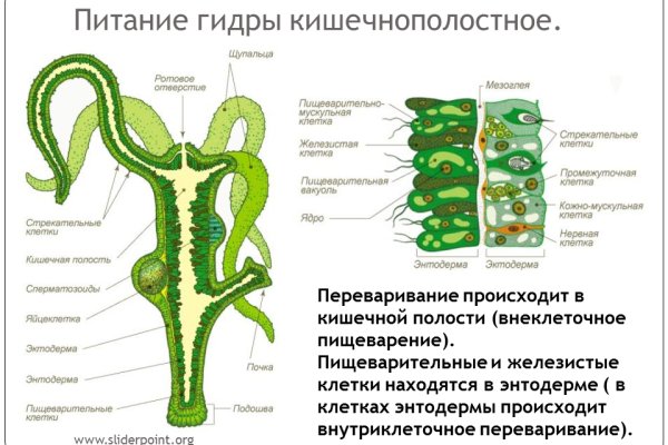 Сайт кракен зайти